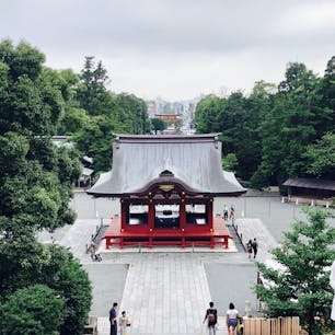 鶴岡八幡宮に行ってきました。