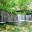 2020.7.31.白糸の滝
長野県　軽井沢

滝の前に川がない不思議な滝。地面から染み出しているのにこの水量。駐車場からの距離もちょうどいい∩^ω^∩