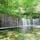 2020.7.31.白糸の滝
長野県　軽井沢

滝の前に川がない不思議な滝。地面から染み出しているのにこの水量。駐車場からの距離もちょうどいい∩^ω^∩