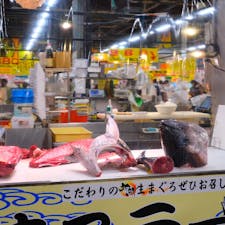 和歌山　とれとれ市場
マグロ解体ショー🍣