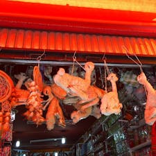 ボリビア、ラパス。
魔女が使うミイラとか市場にはいろんなものが売っている。