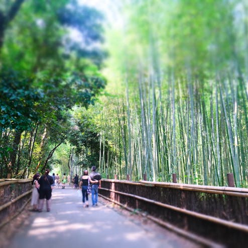 嵐山 竹林の小径