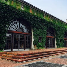 どうやって、あれだけのアイビーをはわせたのか不思議です。