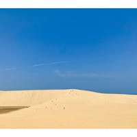 心地の良い夏がありました。
初めての鳥取は砂丘から。