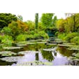 【モネの庭】高知

モネがこよなく愛したフランス・ジヴェルニーの庭をモデルに創られている。