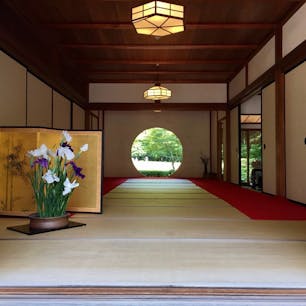 明月院　悟りの窓🌿
丸い窓からは、手前に枯山水庭園、奥に後庭園が見えます。写真に上手く収められなくて残念。。
紅葉の時期に来るのも良さそう🙆‍♀️