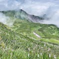 2020年7月25日から8月7日と2週間の北海道登山⛰旅。
感染対策を万全にし、マイカーにて🚗

利尻富士登山から大雪山系の旭岳から黒岳縦走🐻　　利尻富士では8合目あたりは急傾斜のお花畑🌸綺麗でした。