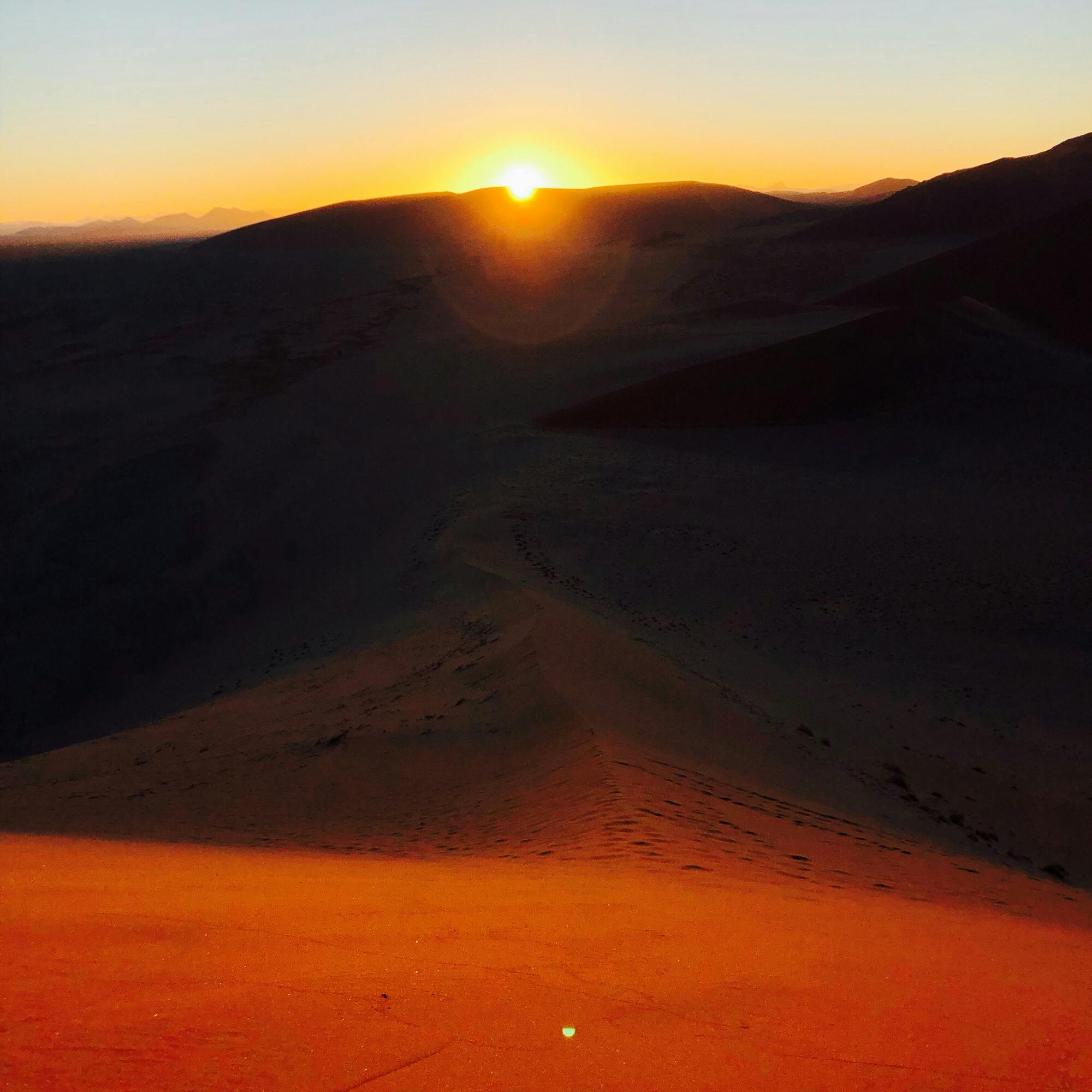 デューン45 Dune45 の投稿写真 感想 みどころ デューン45 ナミビア日の出 トリップノート デューン45 Dune45 の投稿写真 感想 みどころ デューン45 ナミビア日の出 トリップノート