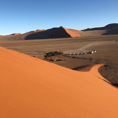 デューン45 Dune45 の投稿写真 感想 みどころ デューン45 ナミビア斜面を滑って下ることもできます トリップノート デューン45 Dune45 の投稿写真 感想 みどころ デューン45 ナミビア斜面を滑って下ることもできます トリップノート