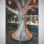 恵那銀の森
念願だったお店〜！
どんぐりソフト
#202008 #s岐阜