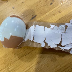玉子をガムテープに巻いて殻を破ります、するとご覧の通りです。殻は散らばらないし、食べた後は殻はゴミ箱へ、見事です👏


#小涌谷 #硫黄山　#北海道　#サント船長の写真