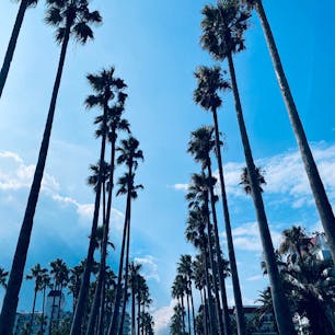 逗子マリーナ
 @神奈川