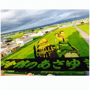 2018年8月　田舎館村　田んぼアート