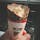 2020年8月21日(金)
人気の道の駅 安達オリジナル
酪農カフェオレソフト🍦
旅の途中に足を運ぶのもおススメです✨
食べ半端の写真でごめんなさい😅
次回、立ち寄る時は
いちごオレソフトを食べよう🤤

#酪農カフェオレ #ソフトクリーム
#コラボ #道の駅 #安達 #のぼり食堂