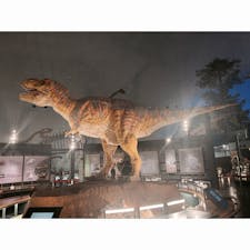 福井県立恐竜博物館
念願が叶った🦕🦖💚💙
#202008 #s福井