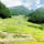 #愛知#新城
#四谷の千枚田
#夏
#日本の風物詩 
#日本の棚田百選

夏になると、田んぼの生い茂った緑とセミの音色・川のせせらぎが同時に聞こえるとても魅力的な場所です。
日本を感じられる場所(^^)