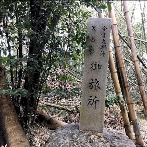 新開の森 (シガイの森)