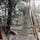 ③此の森の真ん中には御旅所が有りますが
処刑の関係する御旅所ではないようです。

夜に、肝試しに此の森に入って見て下さい、そら〜恐ろしいですよ。

#滋賀県観光　#サント船長の写真　#滋賀県