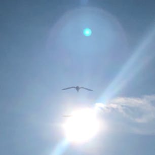 仙台港入港前のいしかりにて