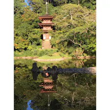 浄瑠璃寺　寺猫ちゃんたちがたくさん居るお寺です。