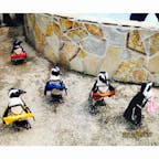 松江フォーゲルパーク