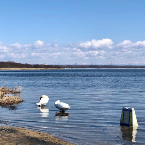 ウトナイ湖