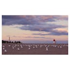 しばしの休息

#ウッドバインビーチ　#woodbinebeach