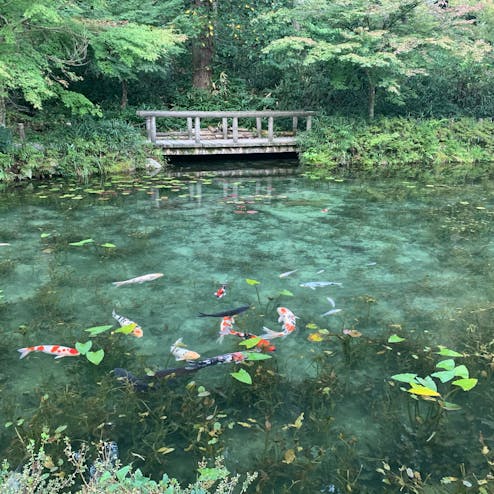 モネの池・根道神社
