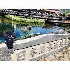 29/08/20
@忍野八海
#蒼水
#にゃーと旅日記