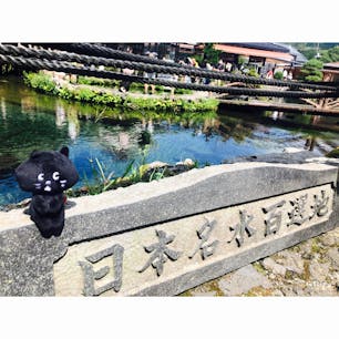 29/08/20
@忍野八海
#蒼水
#にゃーと旅日記