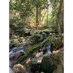 瓜割の滝
#s福井 #202009