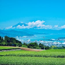 富士山と茶畑！日本らしい絶景🇯🇵✨✨