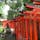 根津神社
小さめなんだけど見応えある建造物が多く　ツツジで有名な所
鳥居⛩もいっぱいあったのね••••知らなかったです
今度は5月頃　ツツジの季節に来てみたいです