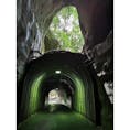 二階建てトンネル

本当に二階建て！！緑色が雰囲気でてます(*^ω^*)カメラを通しての方が緑が濃くなる印象です。。
#千葉県 #養老渓谷