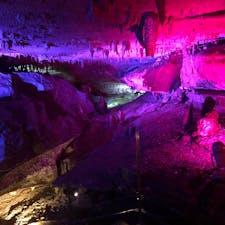 面不動鍾乳洞【奈良】

とっても涼しくて、夏にはぴったりな場所⭐︎

鍾乳洞はライトアップされていて、時間によって色が変わるので、見方も変わって面白い！

ストロー状の鍾乳石は全国でも珍しいみたい⭐︎