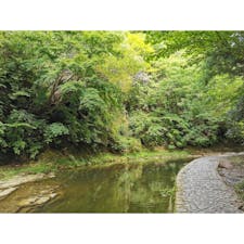 養老渓谷　５つの滝めぐりコース

うーん、、滝、、？って感じの滝があったけどら気持ちよく歩けたので良かったです∩^ω^∩
#千葉県