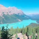 21年 ペイト レイク Peyto Lake ペイトー湖 はどんなところ 周辺のみどころ 人気スポットも紹介します 21年 ペイト レイク Peyto Lake ペイトー湖 はどんなところ 周辺のみどころ 人気スポットも紹介します