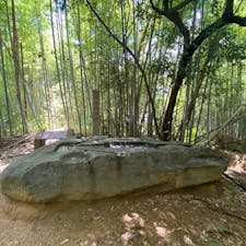 酒船石の消失した石
①奈良は明日香村に酒船石と言う奇石が有ります。昔は酒を作る石とか薬の調合とか言われましたが、今は占いの道具とハッキリして居ますが、実は此の酒船石は人意的に破られて居ます、昔はその破られて、消失した石は何処に？で話題になって居ましたが、今は解明されましたが？実は公ではなく町の歴史家と有志に寄り探し出されました、と力説する方が酒船石の地元ガイドさんです。
僕はその話に「バック！」と喰いつき
話もそこそこに現地に行きました。

#酒船石の消失石　#サント船長の写真　#明日香村