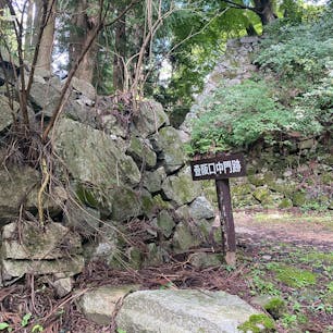 ⑥壺阪寺コースから登れば色々と石垣が残ってハイキングには持って来いです。此のコースからでも猿石には行けます。でも壺阪寺コースでは猿石迄は距離が有ります。
しかし植村家長屋門コースからは、猿石迄はそれほどですが、本丸迄なら距離は有ります。足に自信のある方なら何方のコースでも問題は有りません。

#酒船石の消失石　#サント船長の写真　#日本の城跡