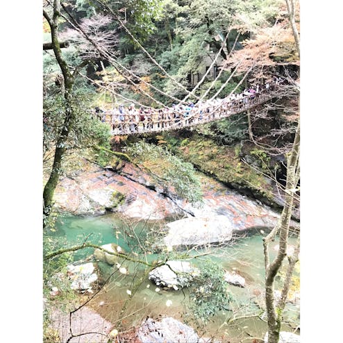 祖谷のかずら橋