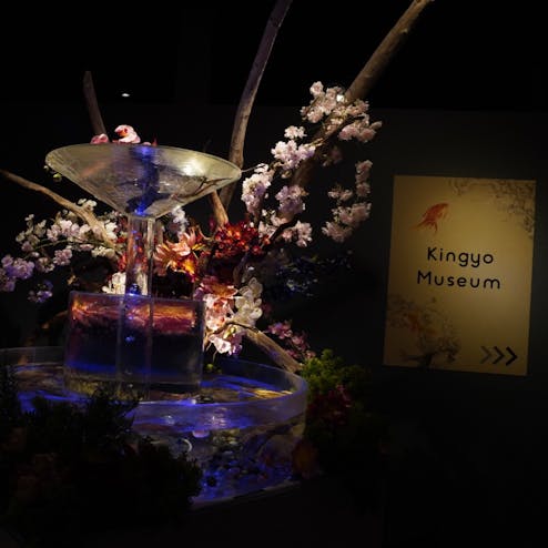 金魚ミュージアム