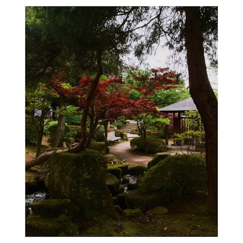 富山城 / 富山市郷土博物館