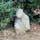 明日香村の猿石
高さ1mほどの4体の石造で猿の顔に似ていることから猿石と呼ばれている。
吉備姫王の檜隅墓の棚内にある。
此の石が猿石です。


#明日香村#奇石　#サント芹沢鴨の写真