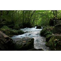 青森県
〜奥入瀬渓流〜