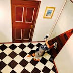 白浜エネルギーランド　トリックアート