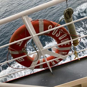 カモメとトンビと一緒に港内一周20分の旅