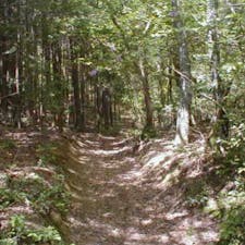 明智光秀の戻り岩(屏風岩)
此の道は現在、法貴谷はハイキングコースですが、普段は誰も通らない道ですね。
1582年6月2日夜明智光秀の軍勢約15000人が此の道を京都の本能寺に向かった。(諸説あり)
写真の手前に屏風岩があり、15000人の大軍がこんな狭い道で方向転換出来る？

#明智光秀　#サント芹沢鴨の写真