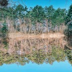 どっちが水鏡ですかね。これは福島の五色沼です。