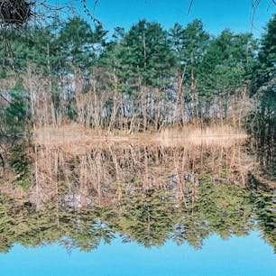 どっちが水鏡ですかね。これは福島の五色沼です。