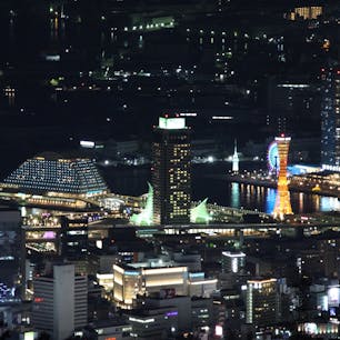 摩耶山掬星台
＊2018.06.03＊